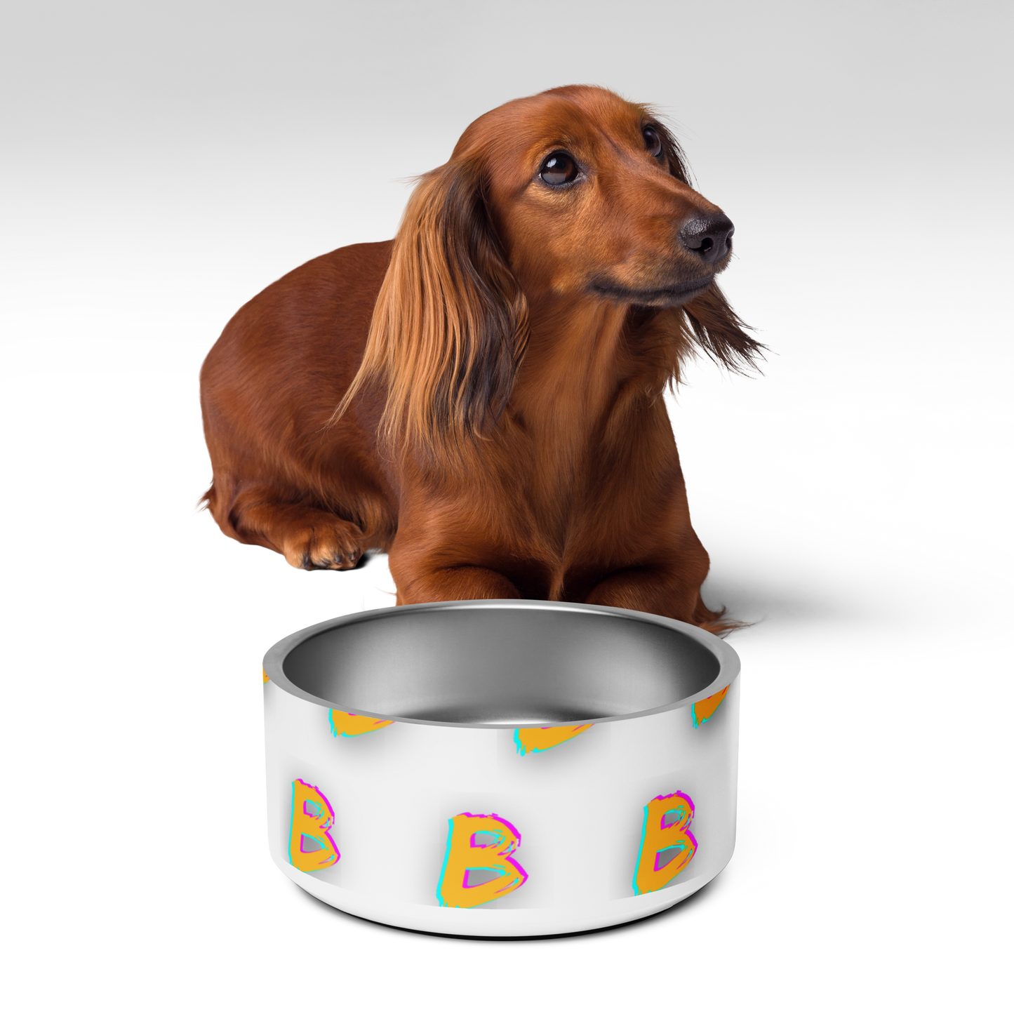 B Pet bowl