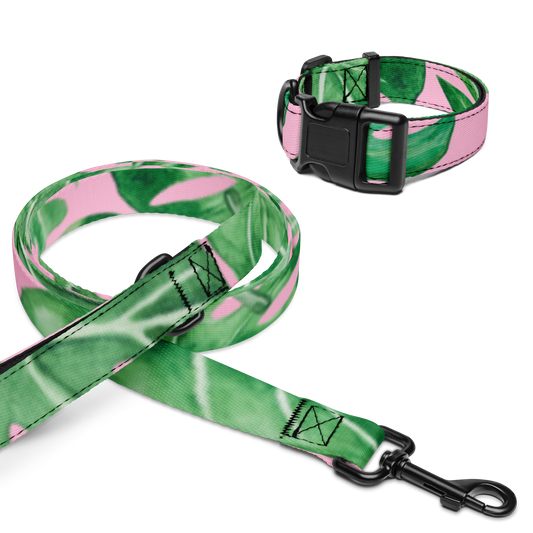 Monstera Pet collar & leash