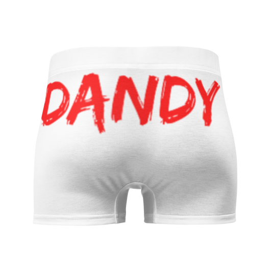 Mistletoe Boxer Briefs