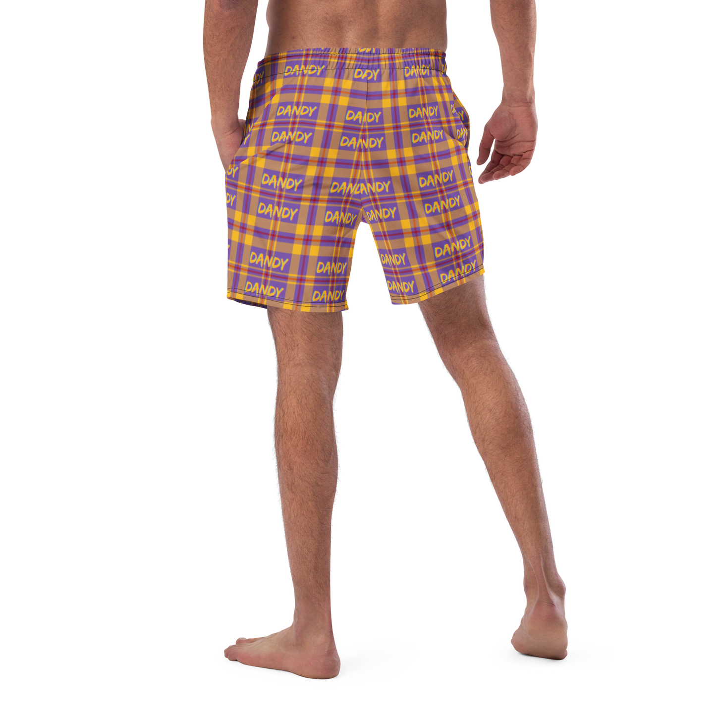 Plaid Men's swim trunks