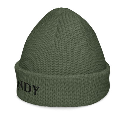 Fisherman beanie