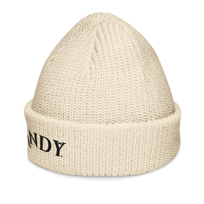 Fisherman beanie