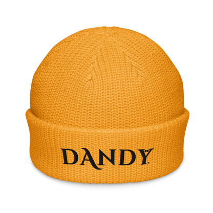 Fisherman beanie