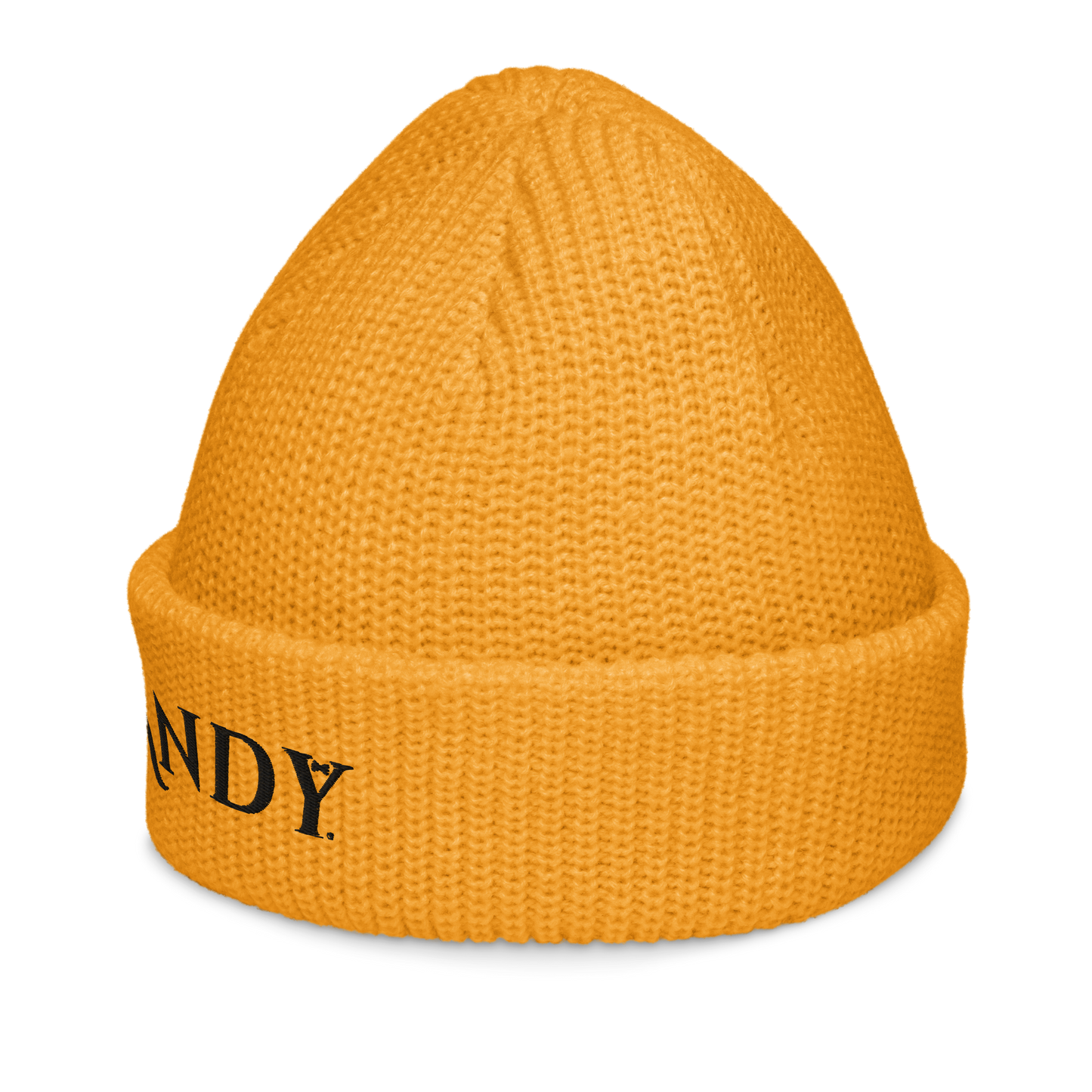 Fisherman beanie