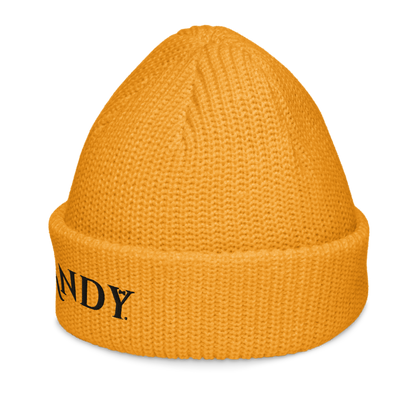 Fisherman beanie