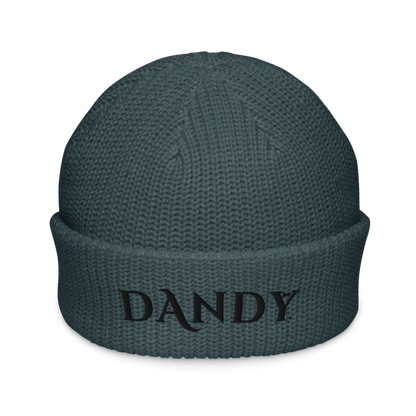 Fisherman beanie