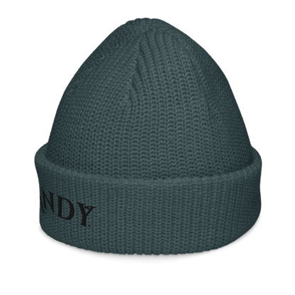 Fisherman beanie