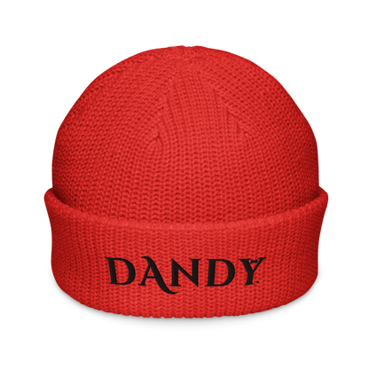 Fisherman beanie
