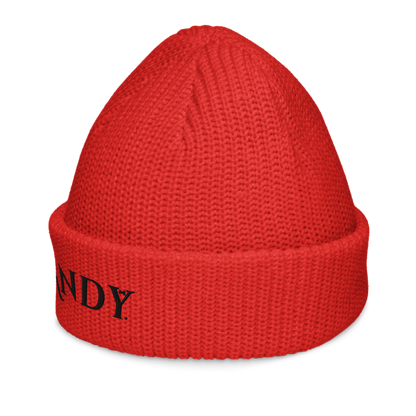 Fisherman beanie