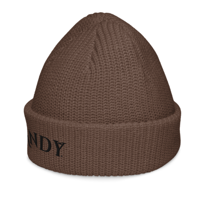 Fisherman beanie