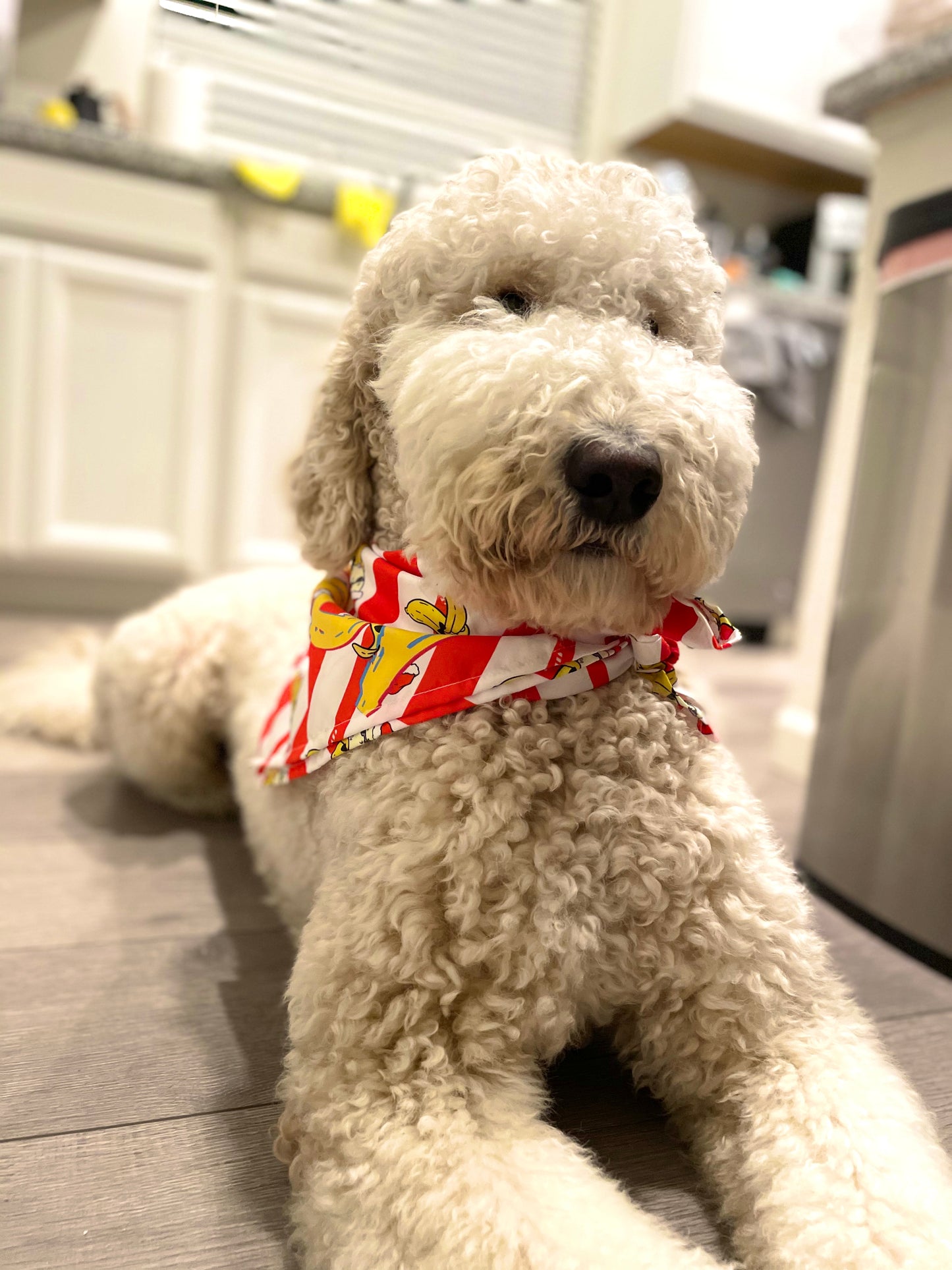 Candy Cane bandana