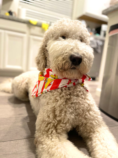 Candy Cane bandana
